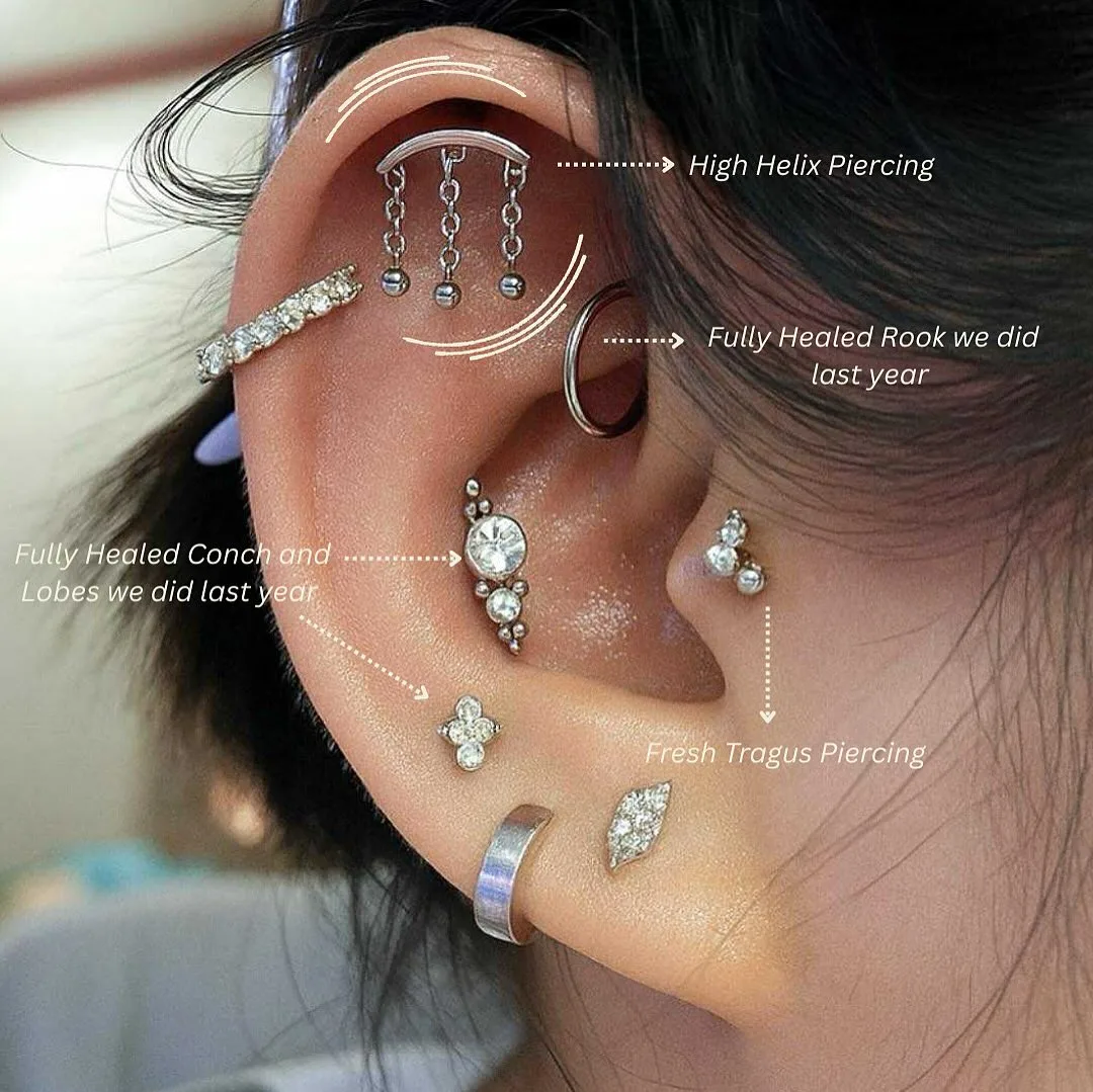 Curated ear with helix, rook, conch, tragus and lobe piercings labeled fully healed and fresh